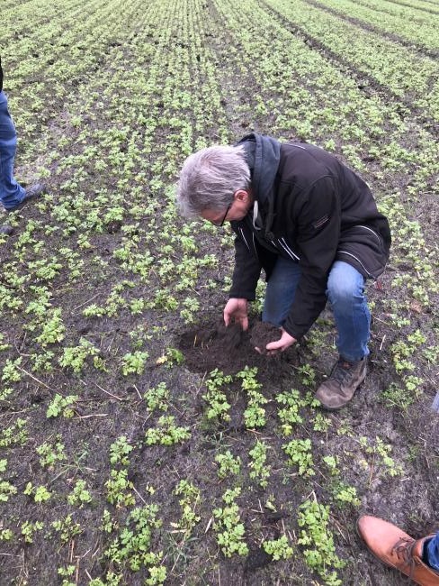 Demoleerbedrijf Huiberts Biologoische Bollen