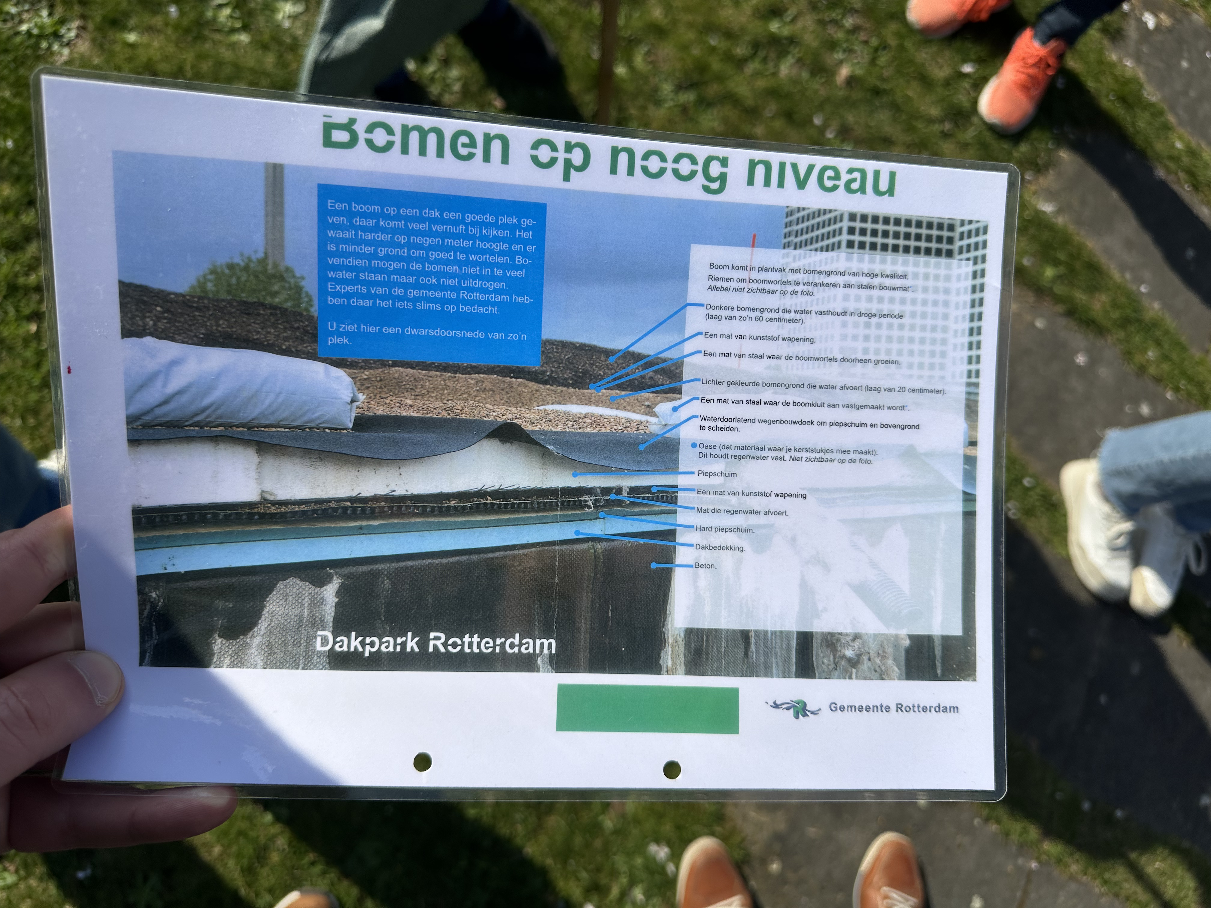 Bezoek Dakpark Rotterdam - Project schooltuin Vonk Hoorn - Hotspot Groene leefomgeving