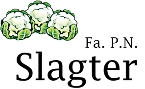 Logo P.N. Slagter