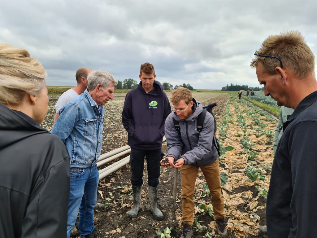 Werkbezoek project Duurzame bloemkool