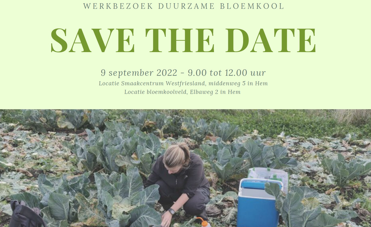 Werkbezoek Duurzame Bloemkool - Vrijdag 9 september