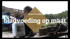 Bekijk onze video