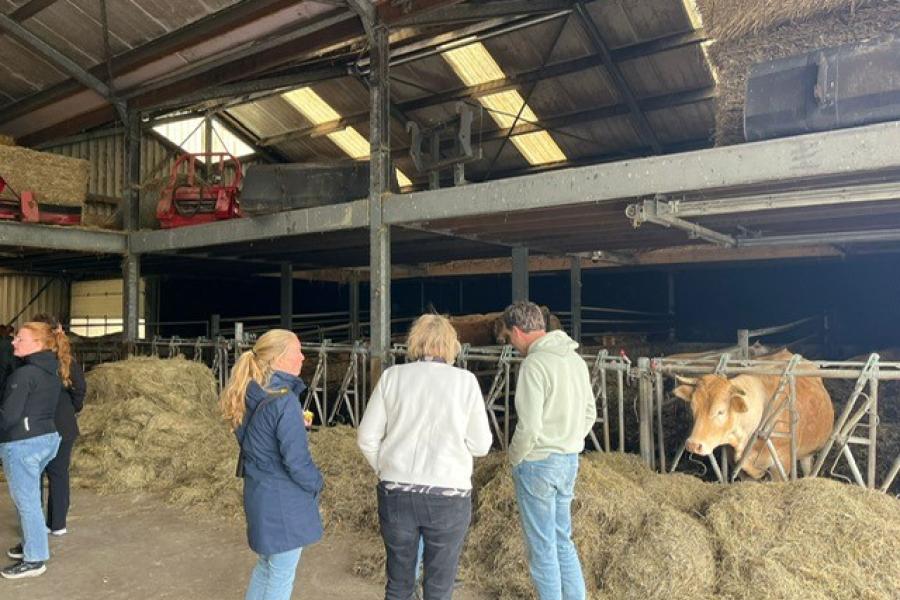 Teamdag docenten groen Biodivers