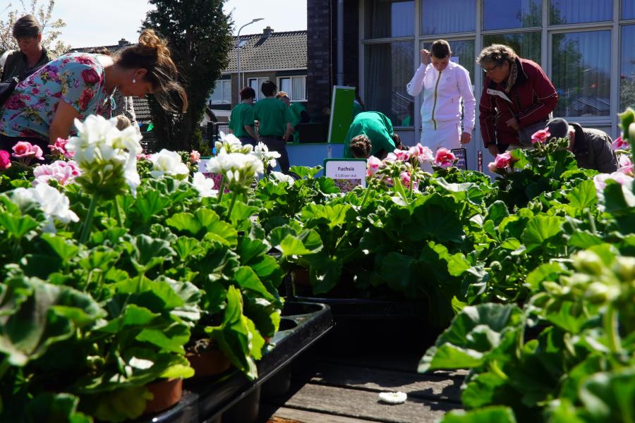 Grootebroek Vonk locatie plantentuin