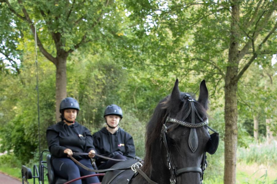 studenten op kar met paard ervoor