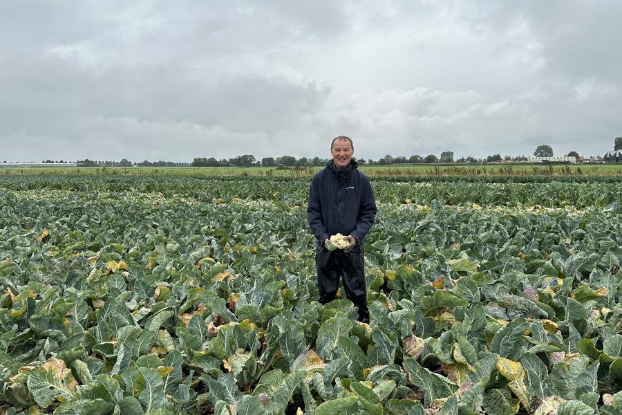 man in veld met Duurzame bloemkool