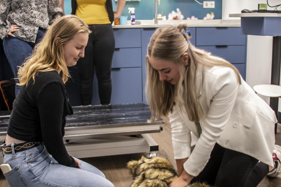 studenten met knuffel hond