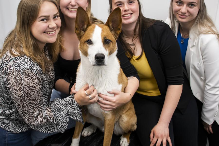 studenten met hond 