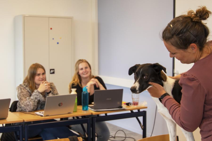 studenten krijgen uitleg over een hond 