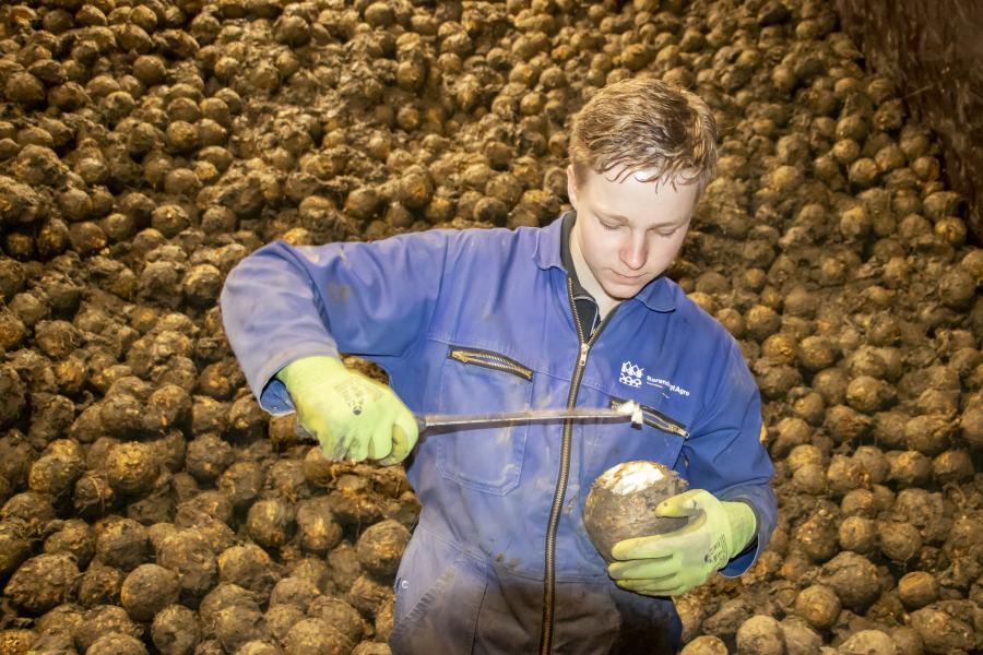 stagiair met bollen 