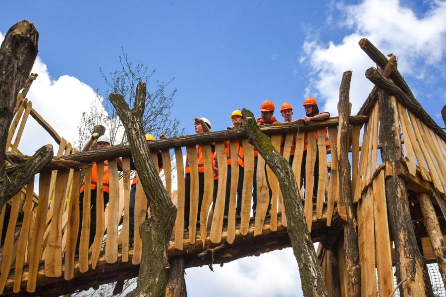 Studenten TPL Vonk in Artis - Leeuwenverblijf 2