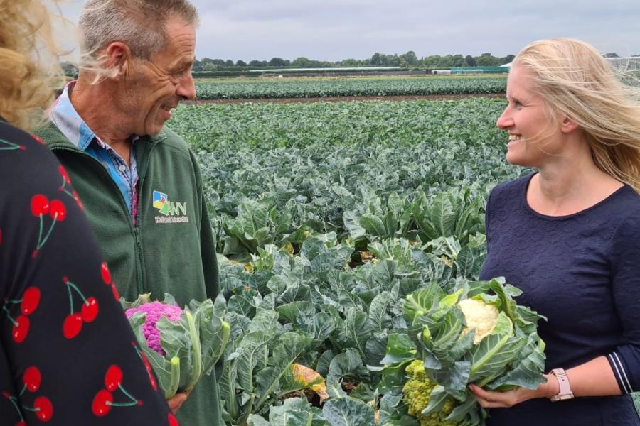 Werkbezoek project Duurzame bloemkool