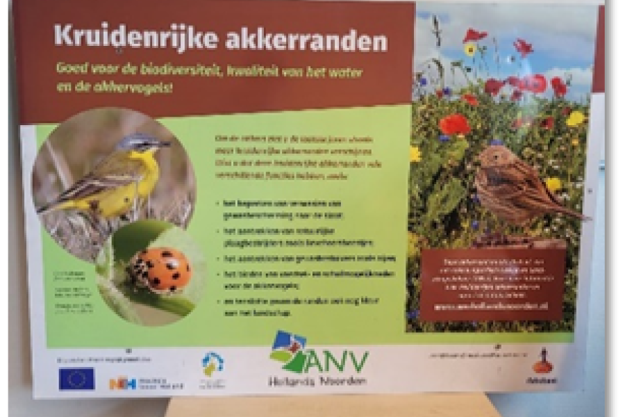 groene strook 7