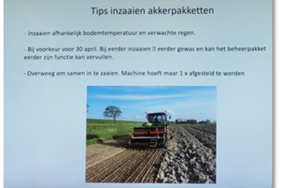 groene strook 8