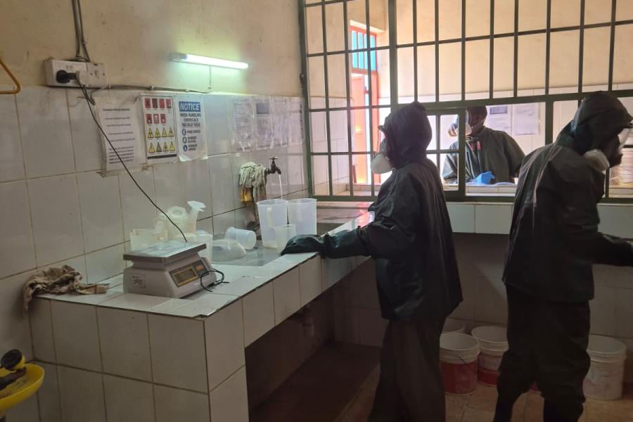 Internationale stage mbo-opleiding Plantenteelt in Kenia- Vonk