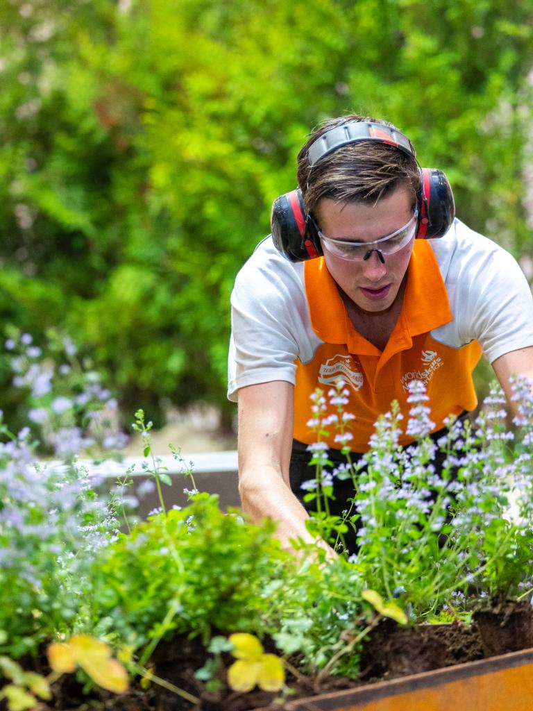 World Skills foto hovenier