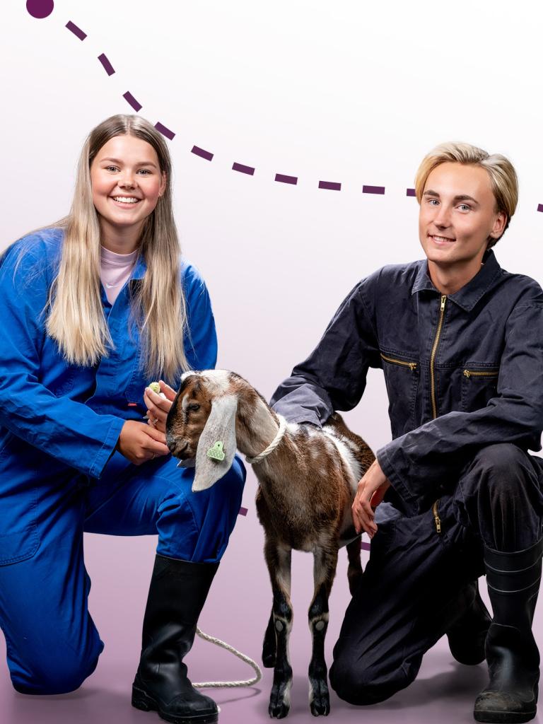 Banner Vonk mbo opleiding Zorgboerderij