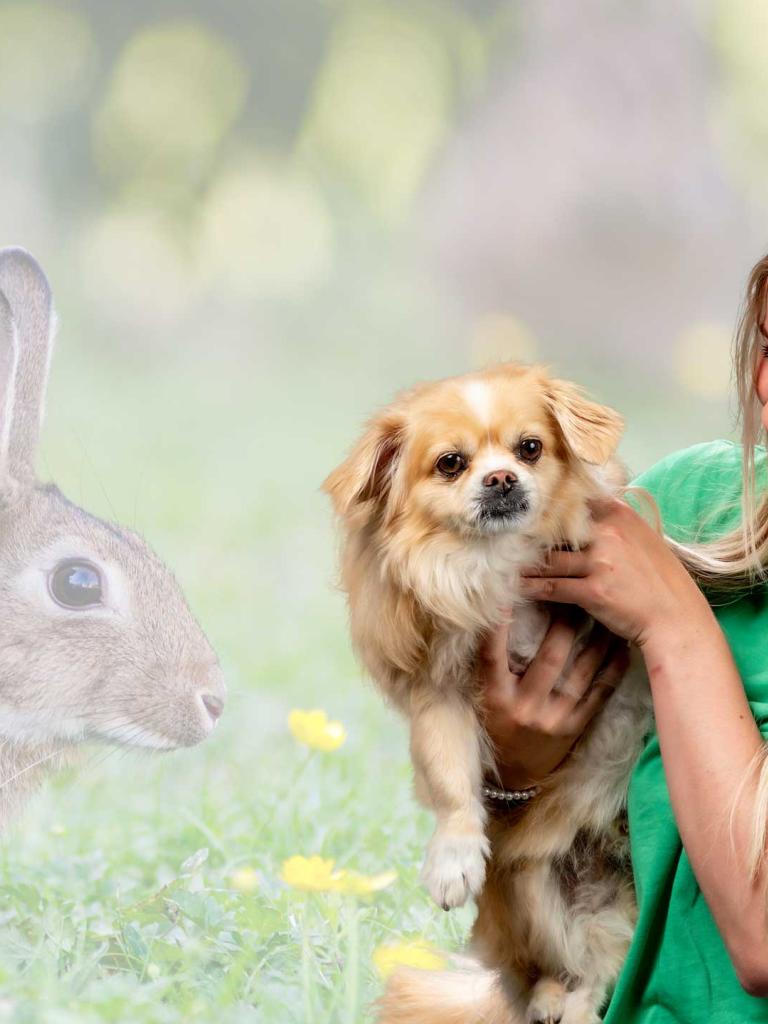 Dierenverzorging
