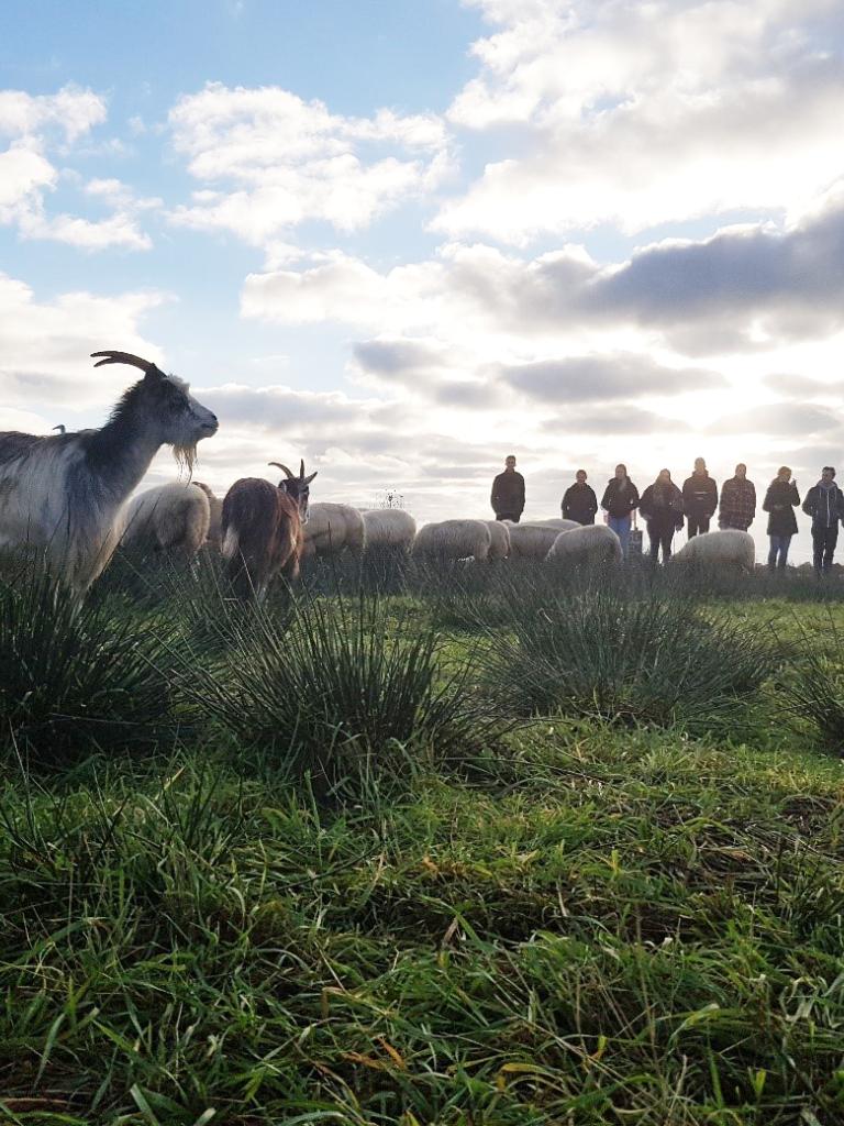 Biodivers Perspectief nieuwsbrief Ecologisch Begrazen