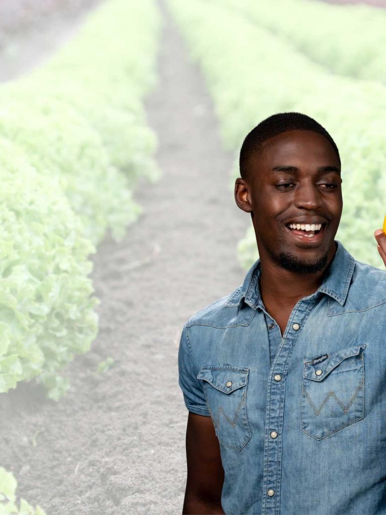 Plantenteelt