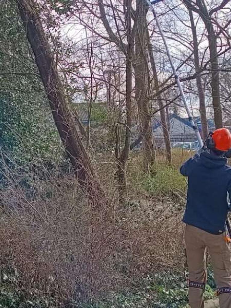hotspot-vonk-de-groene-leefomgeving-snoeien_nieuws
