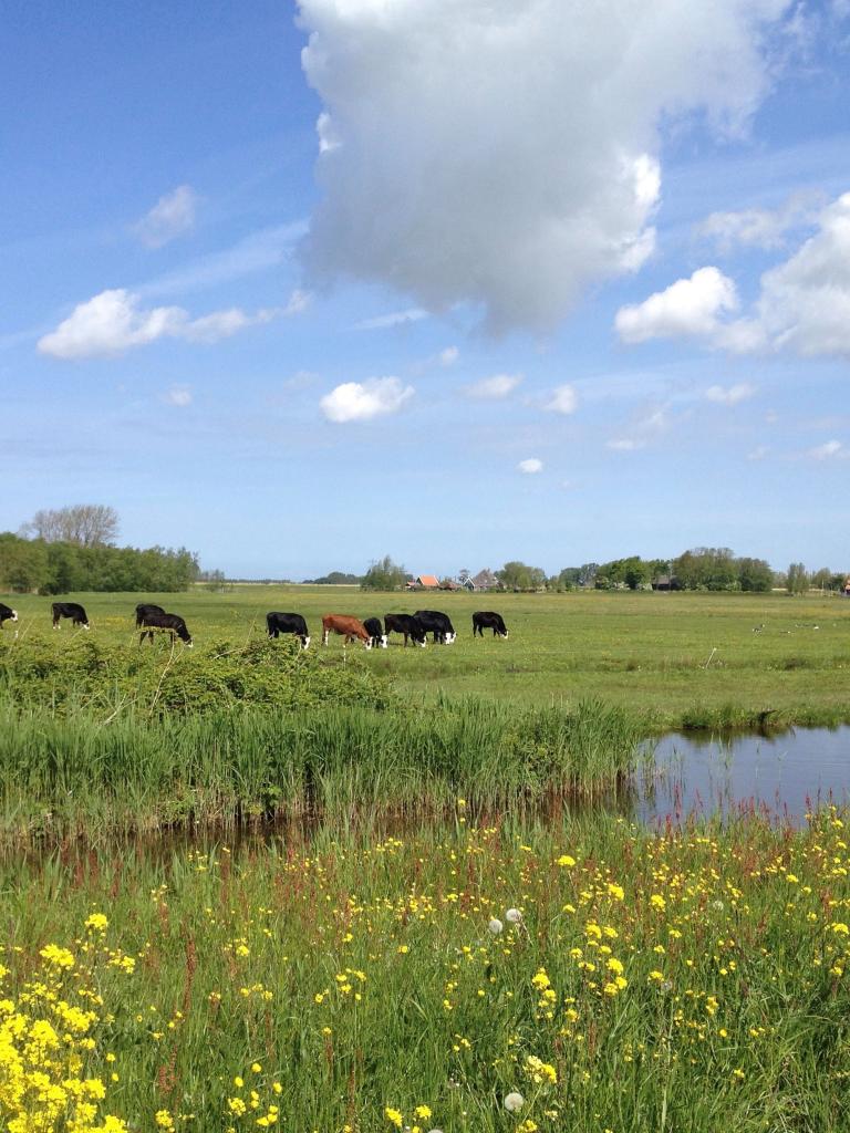 Programms Biodivers Perspectief