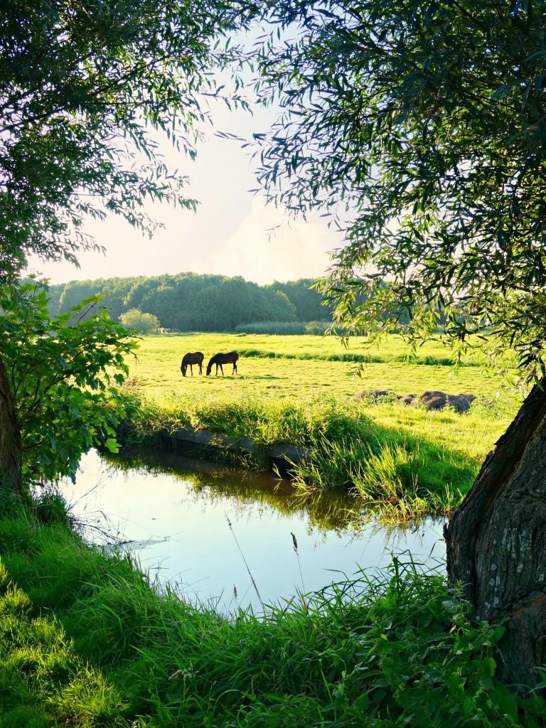 Natuurinclusieve landbouw Biodivers Perspectief