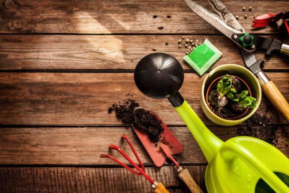 Agro en groen cursussen van Vonk