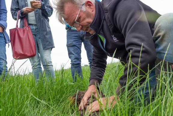 Nieuws Biodivers Perspectief