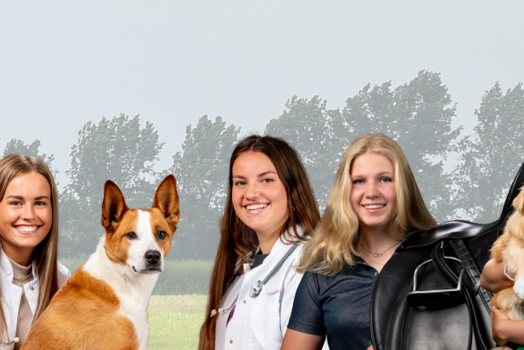 Dier en dierenwelzijn