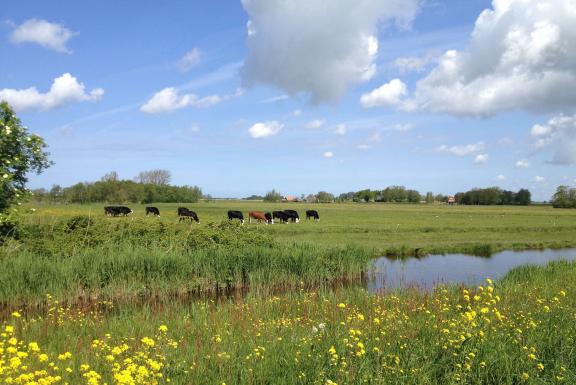 Programms Biodivers Perspectief