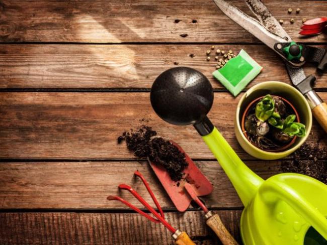 Agro en groen cursussen van Vonk