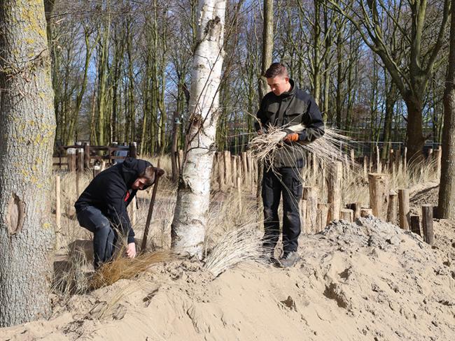 Vonk mbo Tuin Park en Landschap Hoenderdaell praktijkles
