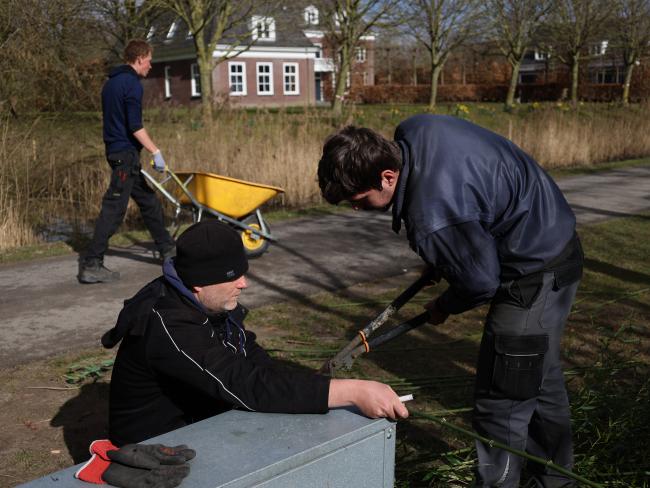 Vonk mbo Tuin Park en Landschap Hoenderdaell praktijkles