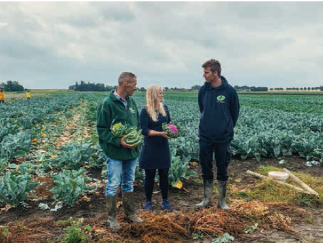 Foto bij artikel Duurzame Bloemkool