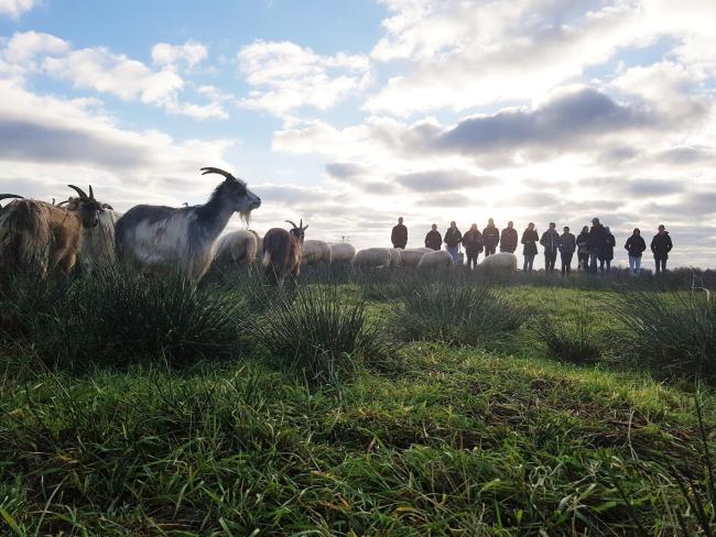 Biodivers Perspectief nieuwsbrief Ecologisch Begrazen