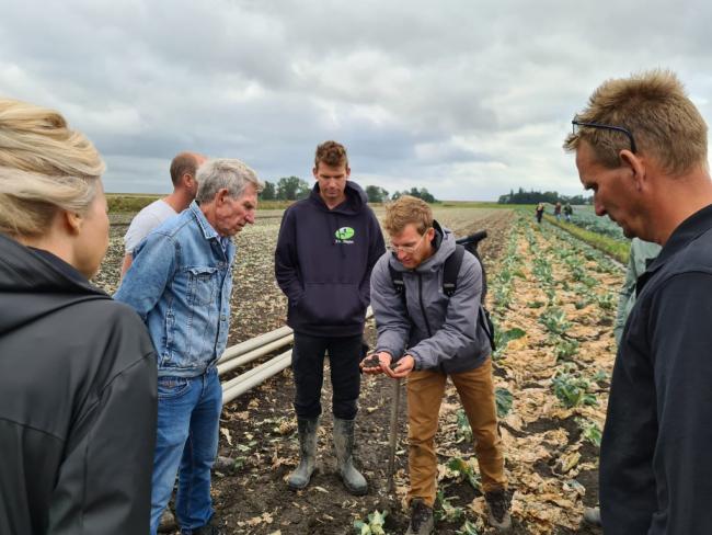 Werkbezoek project Duurzame bloemkool