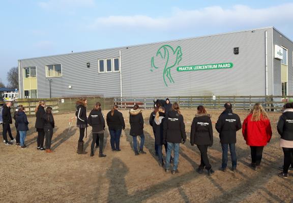 Paardenhouderij studenten Vonk