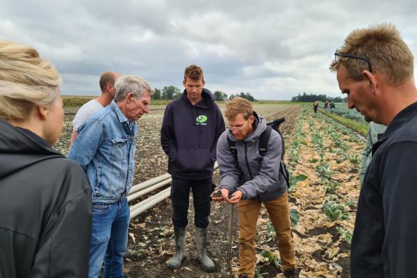 Werkbezoek project Duurzame bloemkool