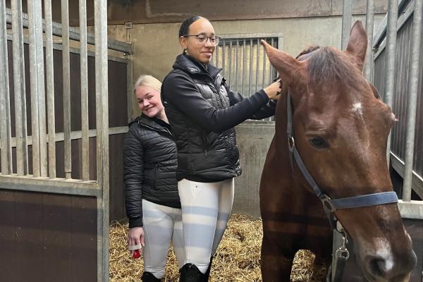 Voorronde landelijke vakwedstrijd Paardenhouderij - Vonk