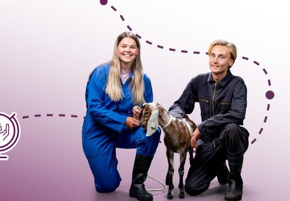 Banner Vonk mbo opleiding Zorgboerderij