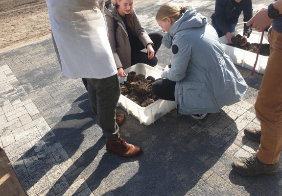 Leerlingen bekijken grond