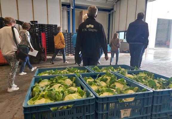 Lopen door een schuur met bloemkool 