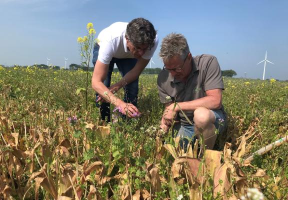 2 mensen bekijken een plant