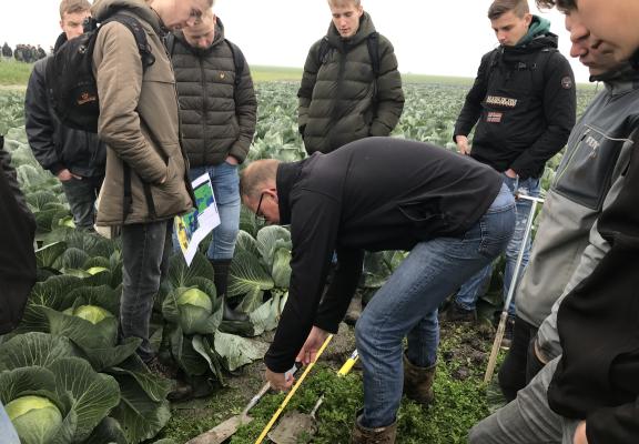 Header Bodemontdekking nieuw onderdeel van opleiding plantenteelt