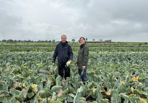 Man en vrouw in veld met Duurzame bloemkool