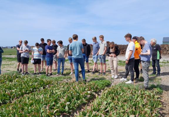 Studenten bollenteelt Vonk