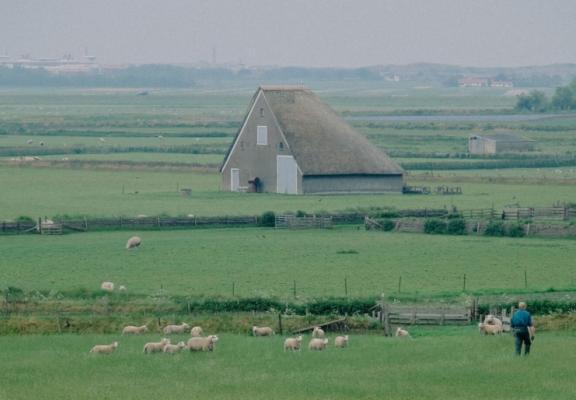 SLO project Biodivers Perspectief - Omgeving