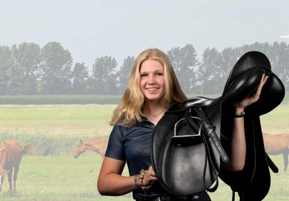 Paardenhouderij opleiding Vonk