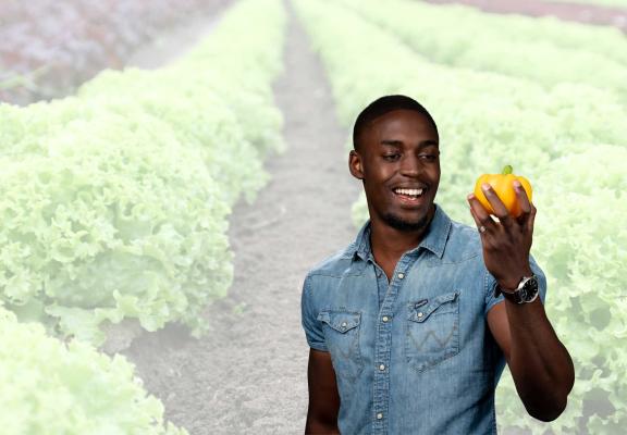 Plantenteelt opleiding Vonk